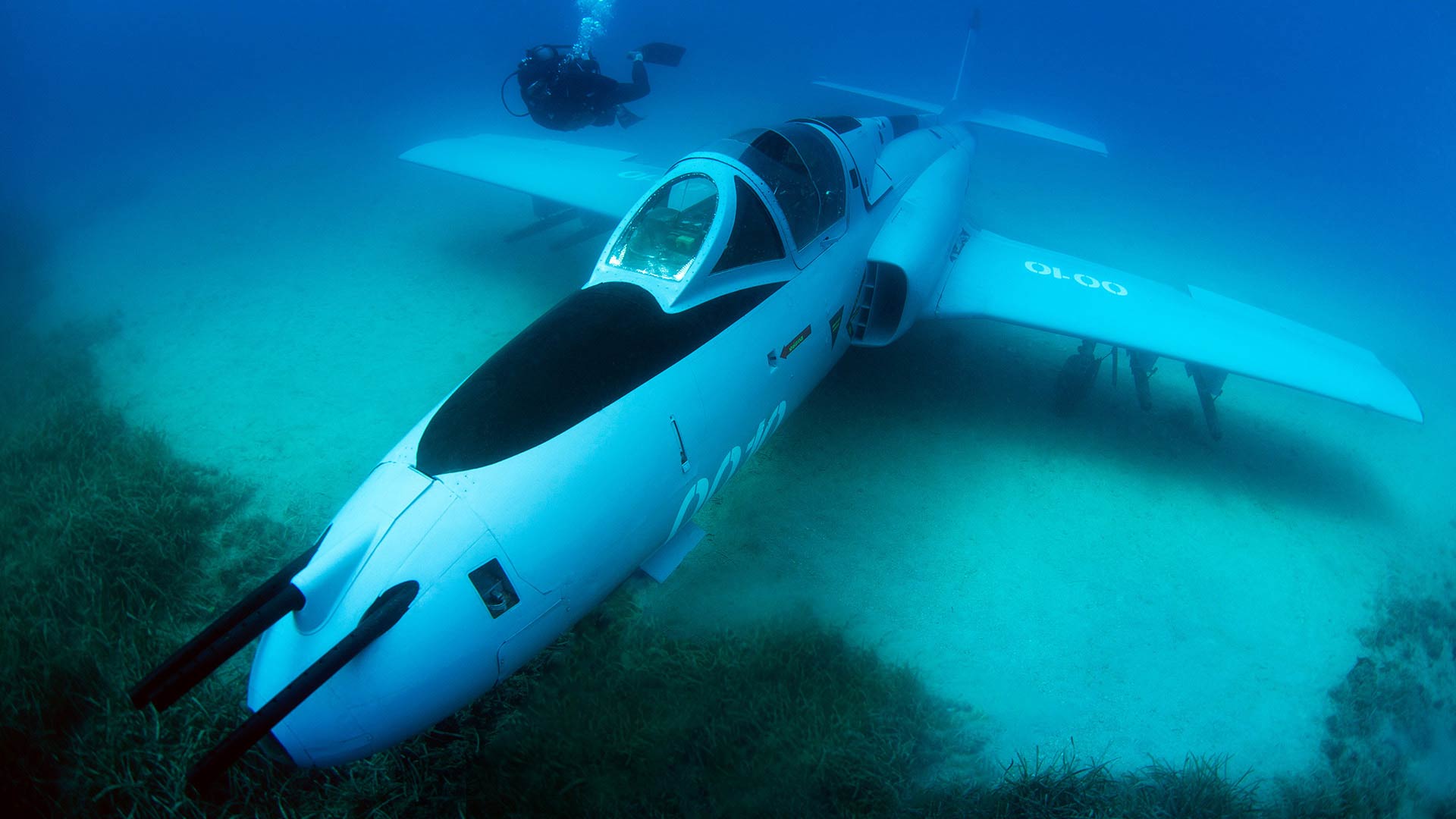man-underwater-beside-plane